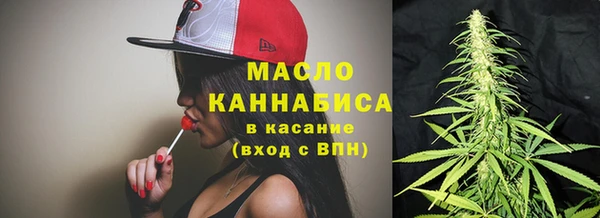 индика Карпинск