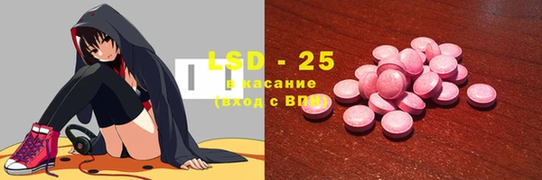 индика Карпинск