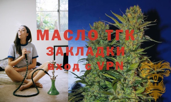 индика Карпинск