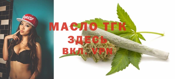 индика Карпинск
