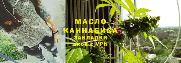 индика Карпинск