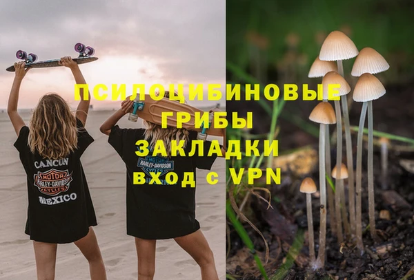 индика Карпинск