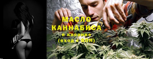 индика Карпинск