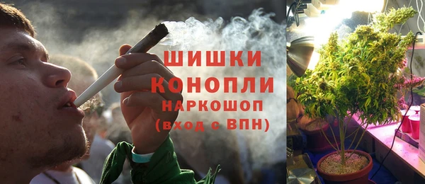 ПСИЛОЦИБИНОВЫЕ ГРИБЫ Касимов